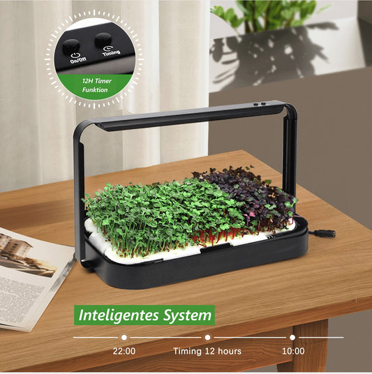 Design Microgreen speed growing Set by Brüne-Bohne.de