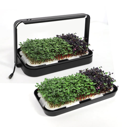 Design Microgreen speed growing Set by Brüne-Bohne.de